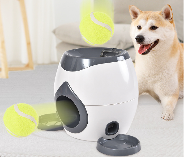 Interactive Ball Launcher — Your Dog Plays Fetch With Itself