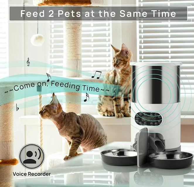 Smart Twin Auto-Feeder — Feeds Two, Wakes Neither