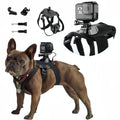 GoPro Dog Harness — Film Every Walk From Their POV