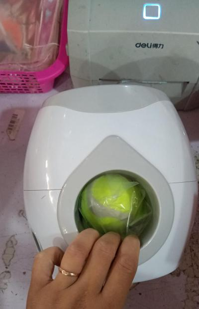 Interactive Ball Launcher — Your Dog Plays Fetch With Itself